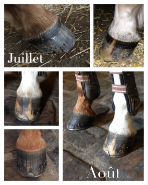 Pas de Pieds ! Pas de cheval !