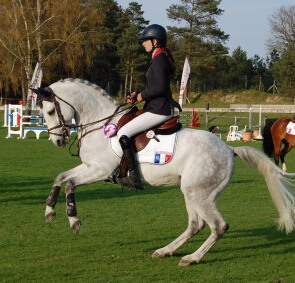 Retour sur le BIP 2013