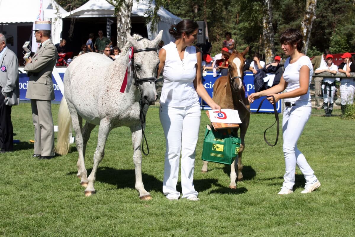 Le Calphormin offert en remise des prix à la Grande semaine de l'élevage de Fontainebleau 2009