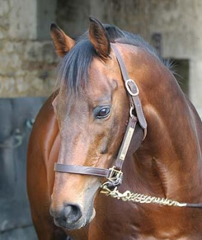 Salon des AQPS à Decize