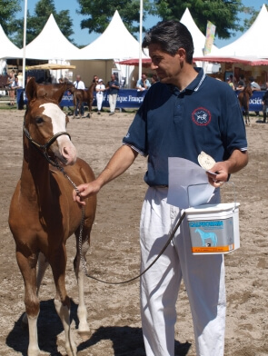 EQUIDARMOR-SEOA VETERINAIRE était au SOLOGN'PONY