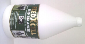 Lancement du FEED X CELL lors de la Grande Semaine de...