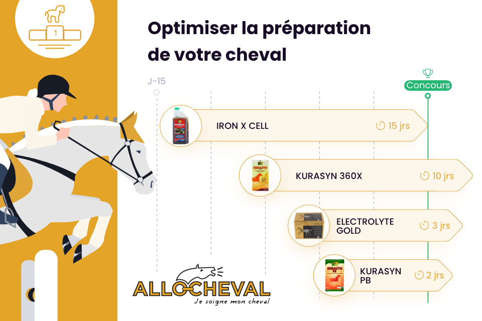 Comment aider votre cheval à se préparer au mieux pour les concours ?