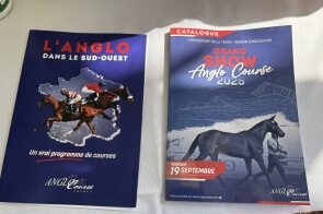 GRAND SHOW ANGLO COURSE 2025