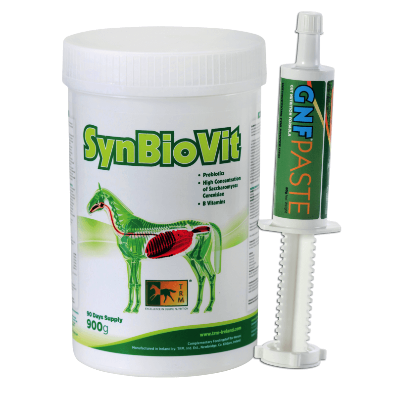 Offre Synbiovit  900G et GNF Paste