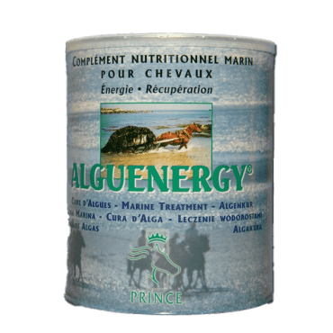 Alguenergy