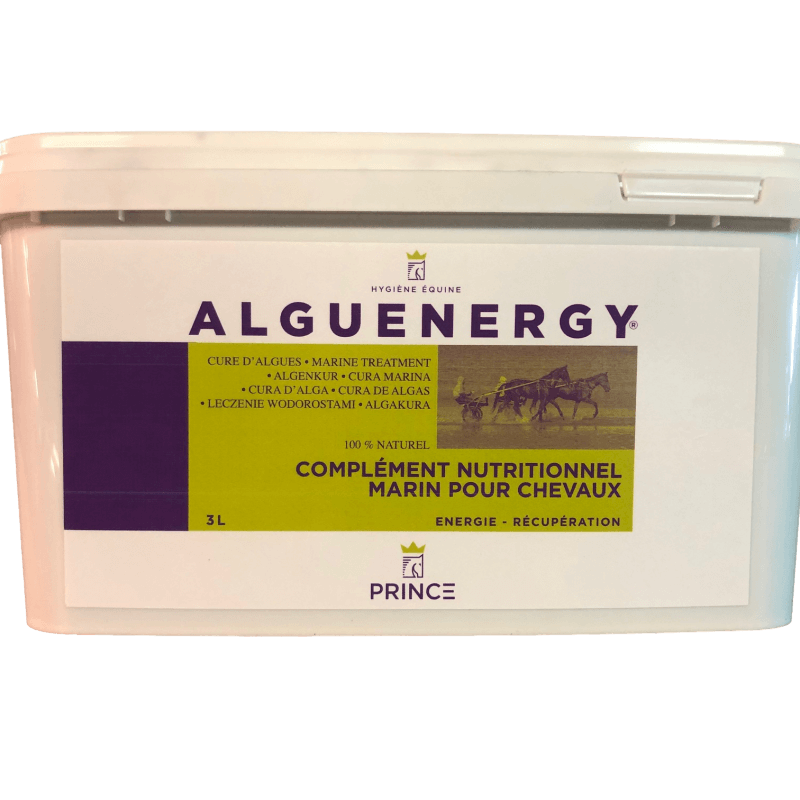 Alguenergy
