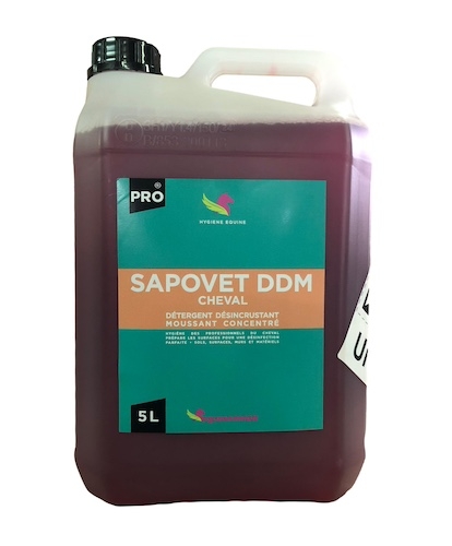 SAPOVET DDM
