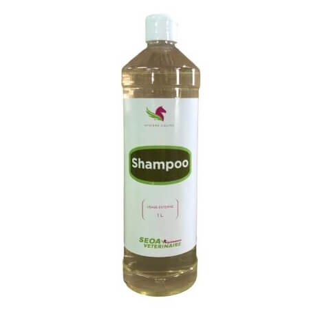 SHAMPOO